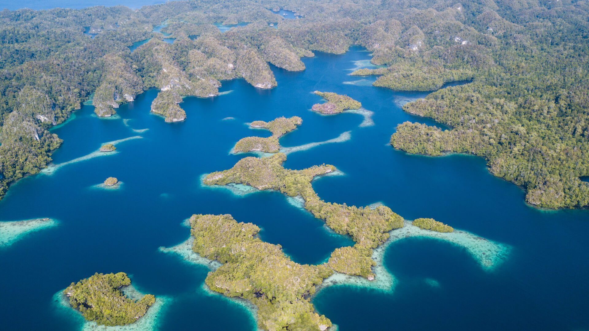 Currents of Raja Ampat