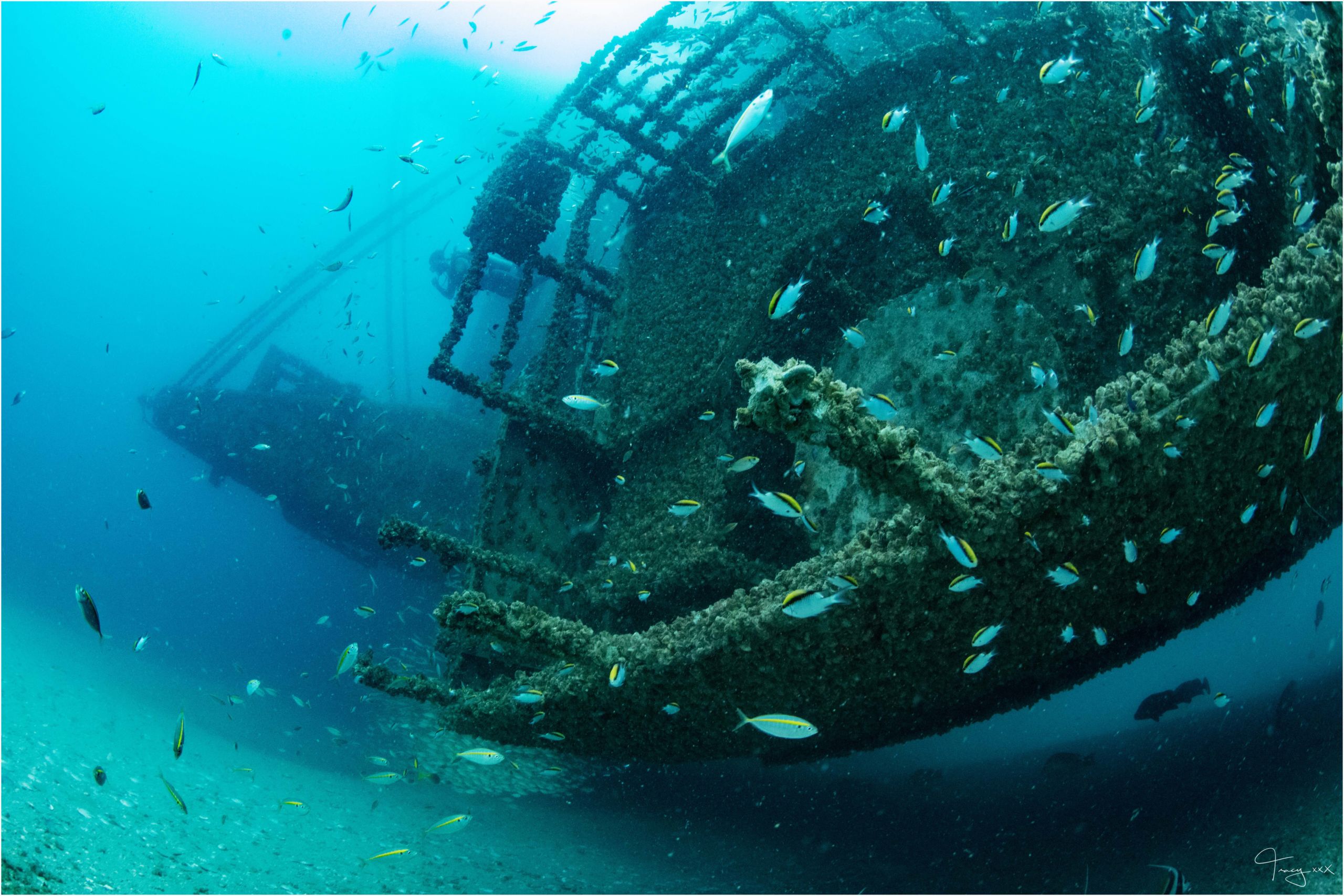 Queensland's Best Wrecks