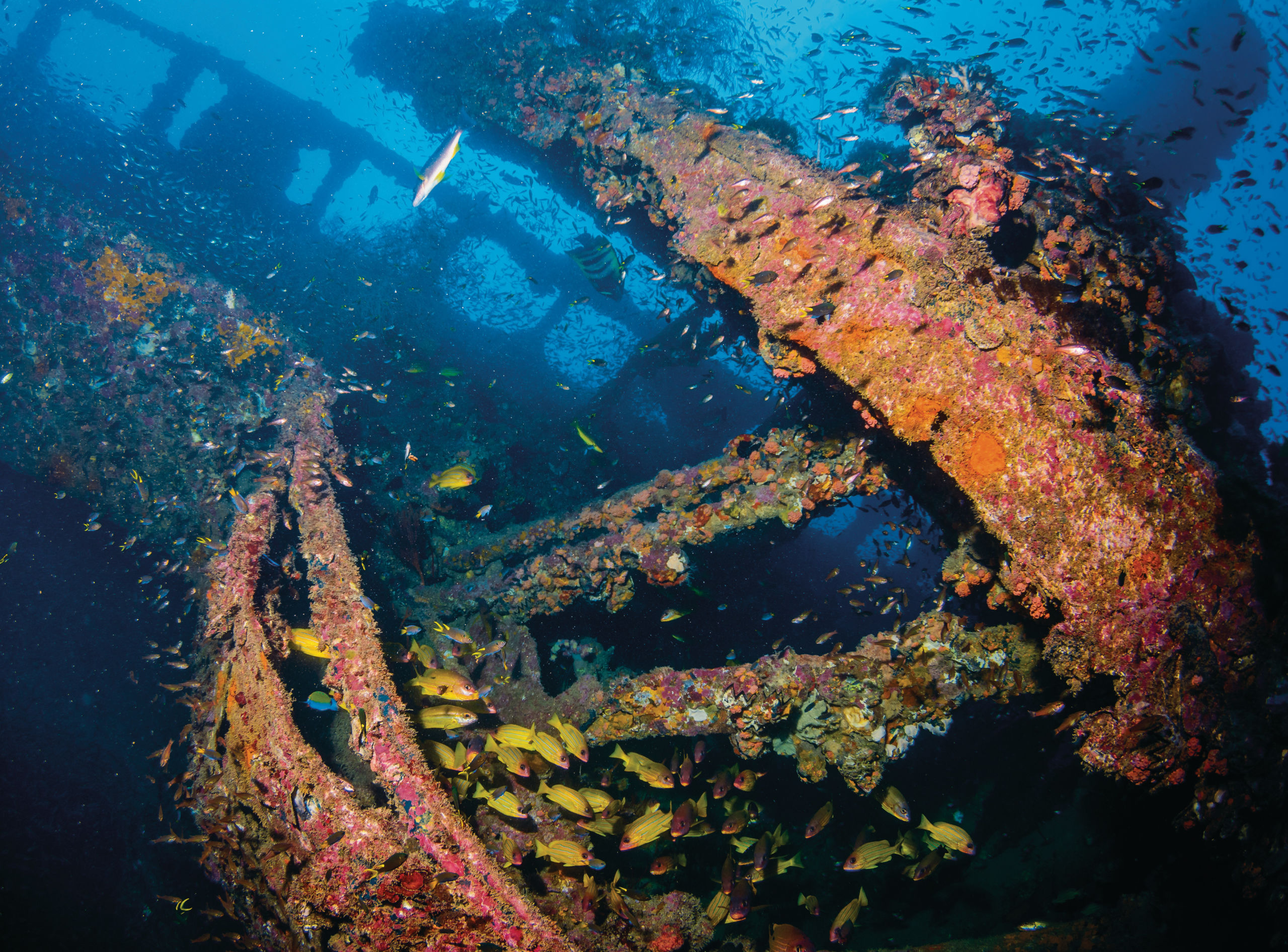 Queensland's Best Wrecks 2 Queensland's Best Wrecks