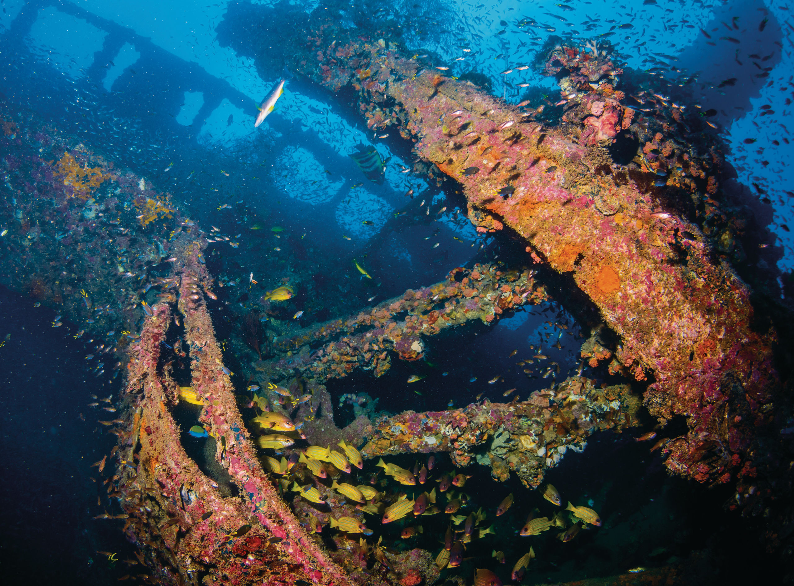 Queensland's Best Wrecks