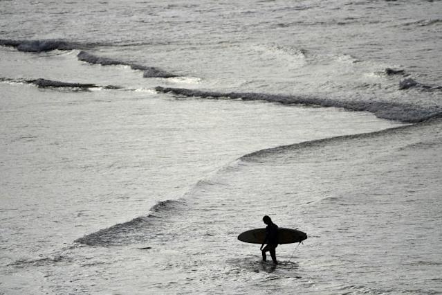 Unprecedented NSW Shark Attack