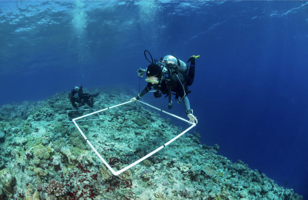 Living Oceans Foundation partners with NASA 4 Living Oceans Foundation