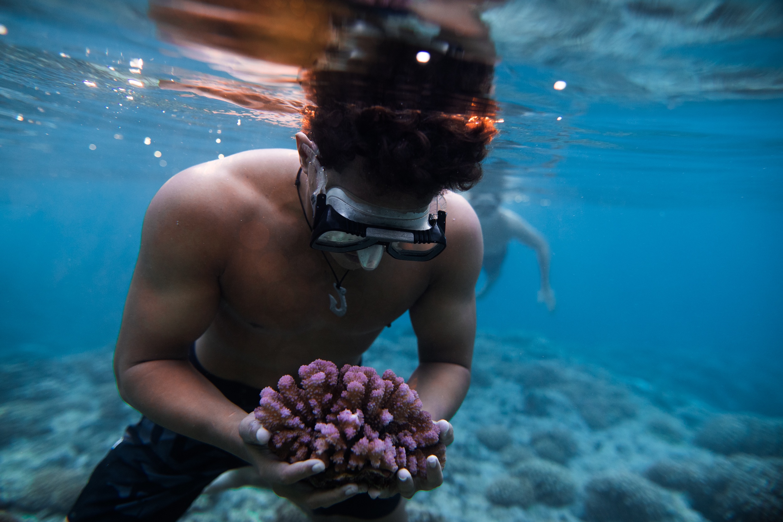 Incredible Coral Gardeners of Tahiti 2 Incredible Coral Gardeners of Tahiti