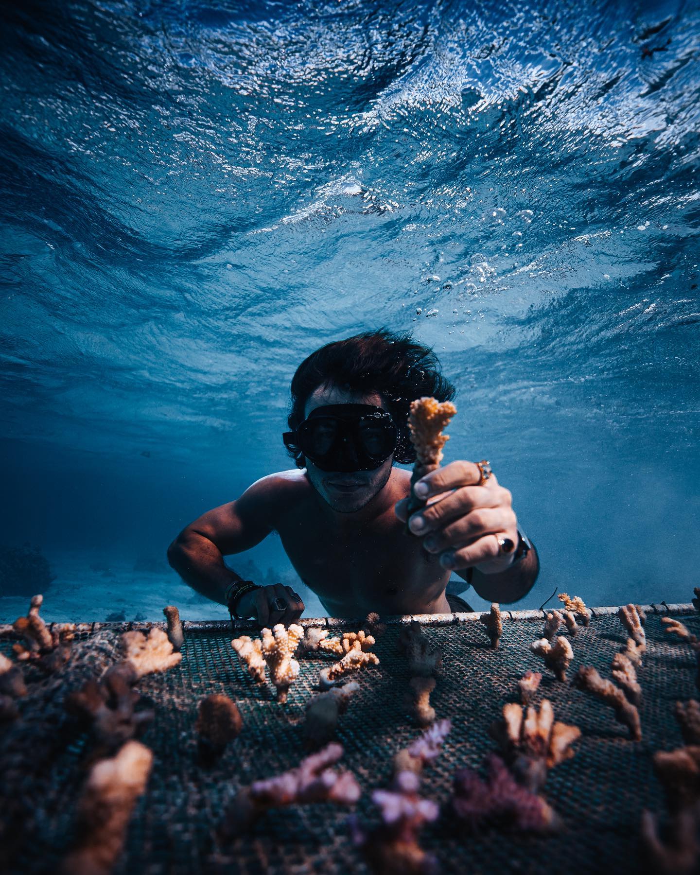 Incredible Coral Gardeners of Tahiti