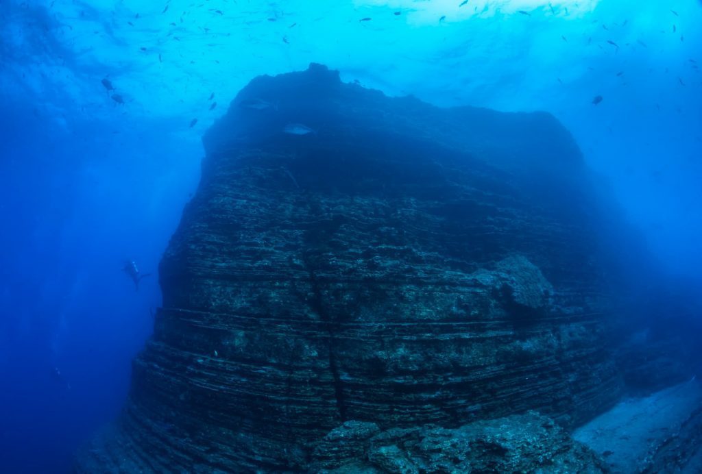 Diving Socorro, the Mexican Galapagos 5 The pinnacle at El Boiler