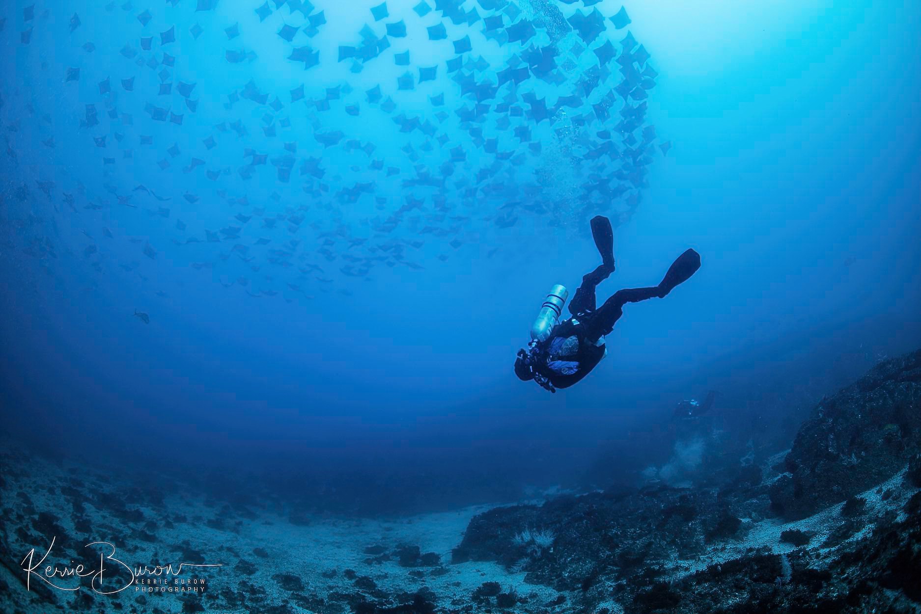 Manta Lodge Tech Diving Weekend