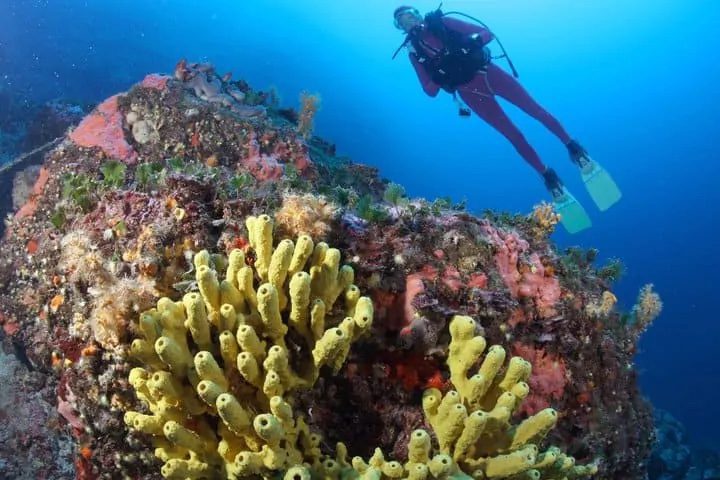 Time to travel! The latest holiday deals from Diverse Travel… 3 3