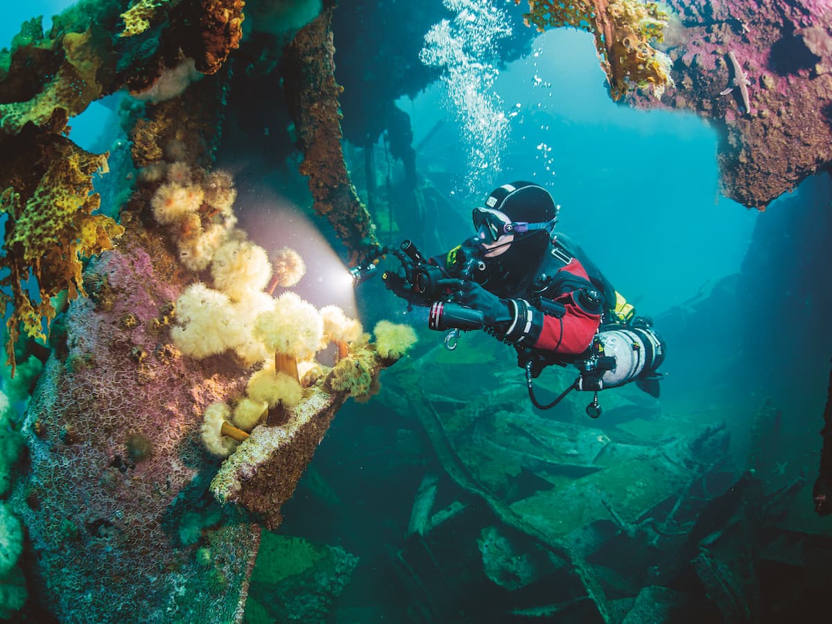 Diving Newfoundland 5