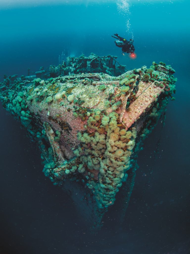 Diving Newfoundland 2