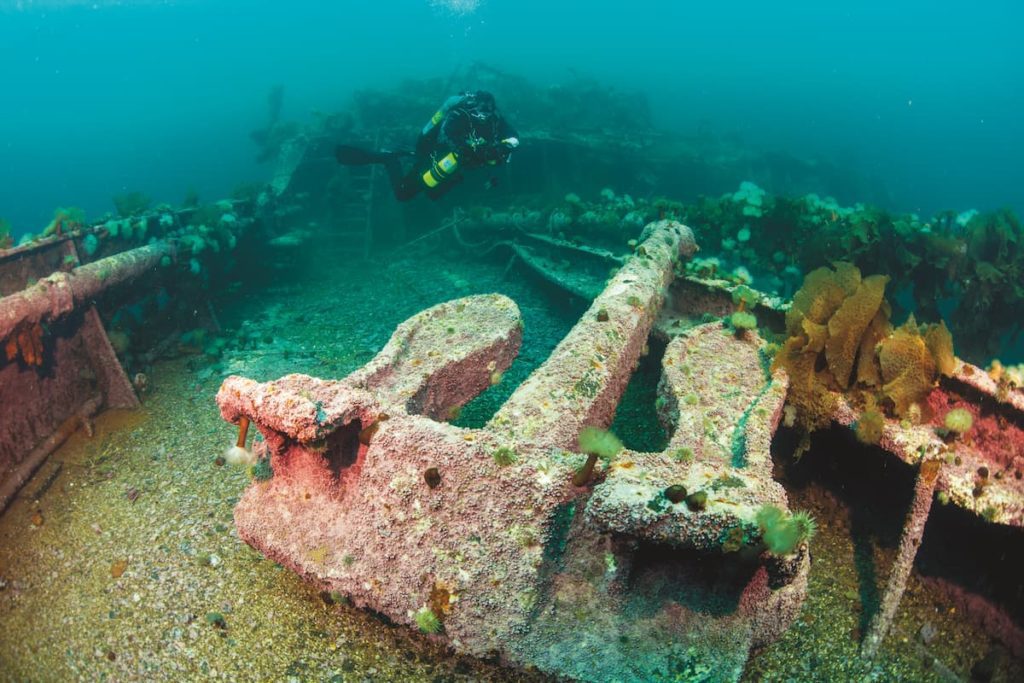 Diving Newfoundland 6