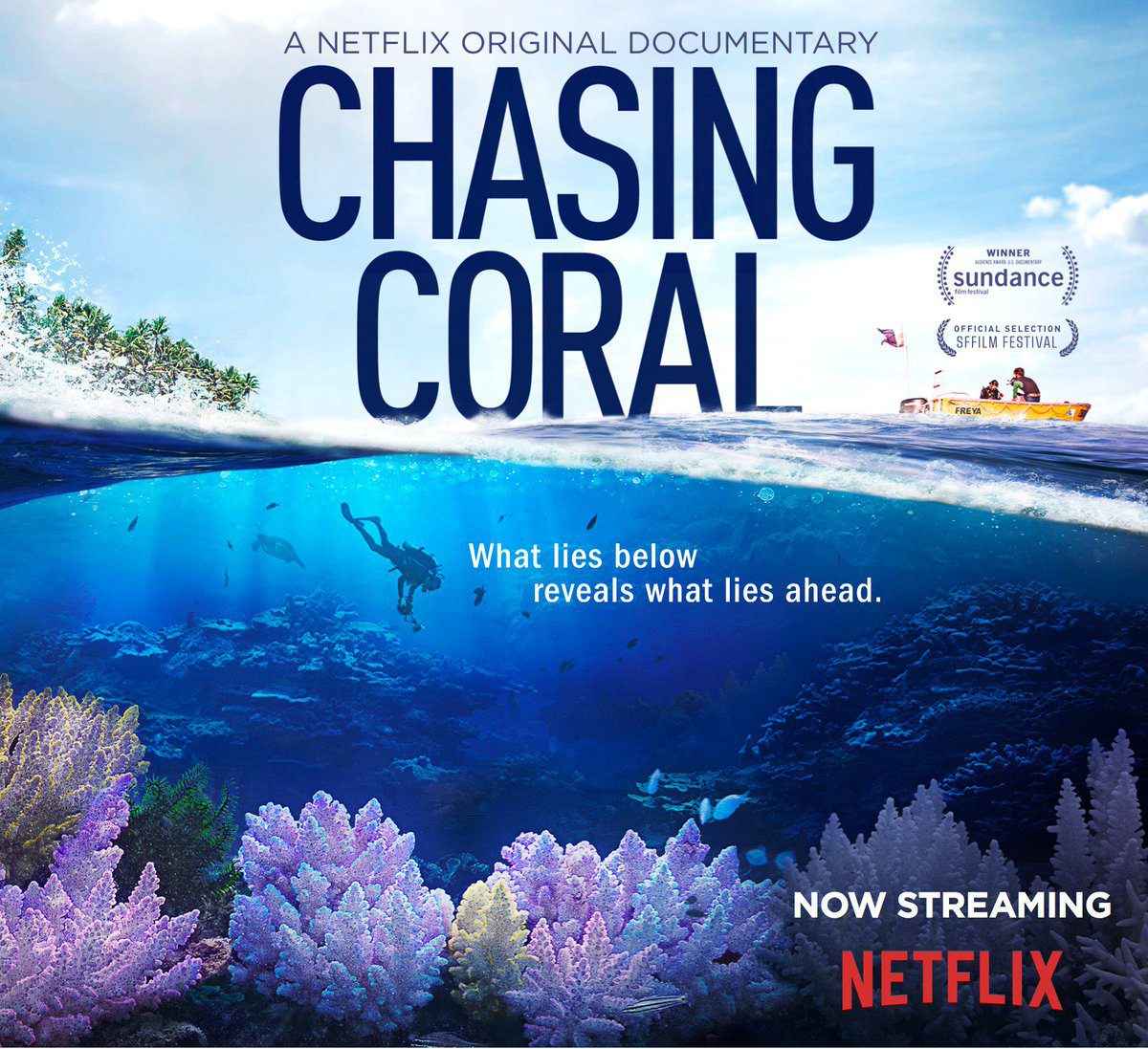 10 Amazing Underwater Documentaries 7 Chasing Coral (Netflix) - Poster
