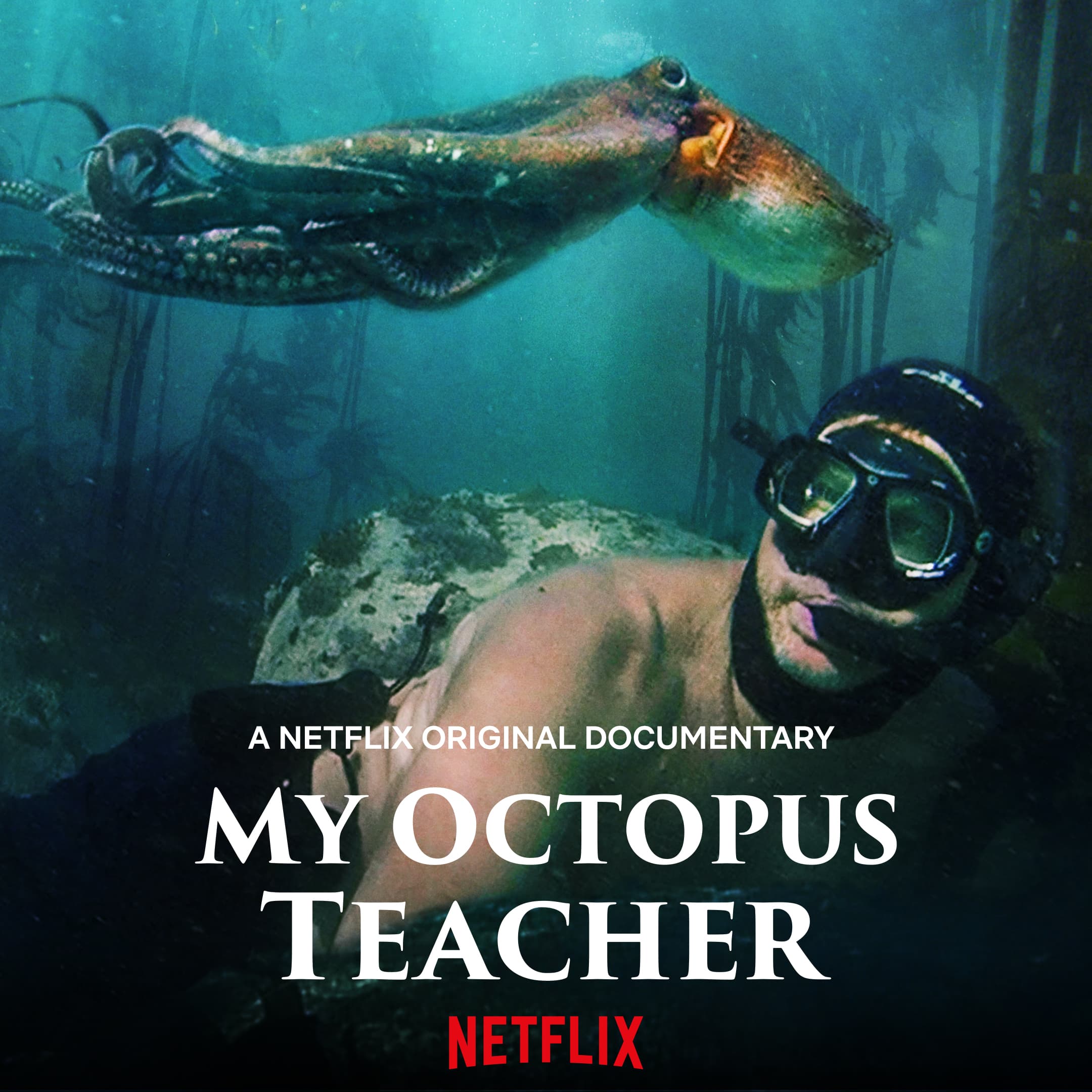 My Octopus Teacher - Wikipedia