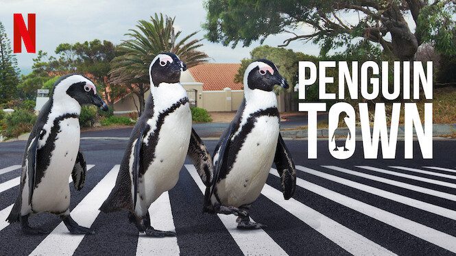 Penguin Town