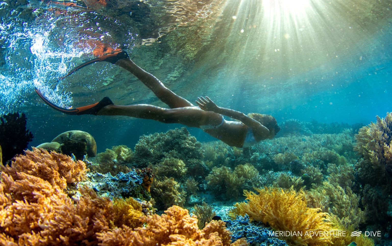 Scuba Diver SNORKELING at RAJA Ampat Resort Diving