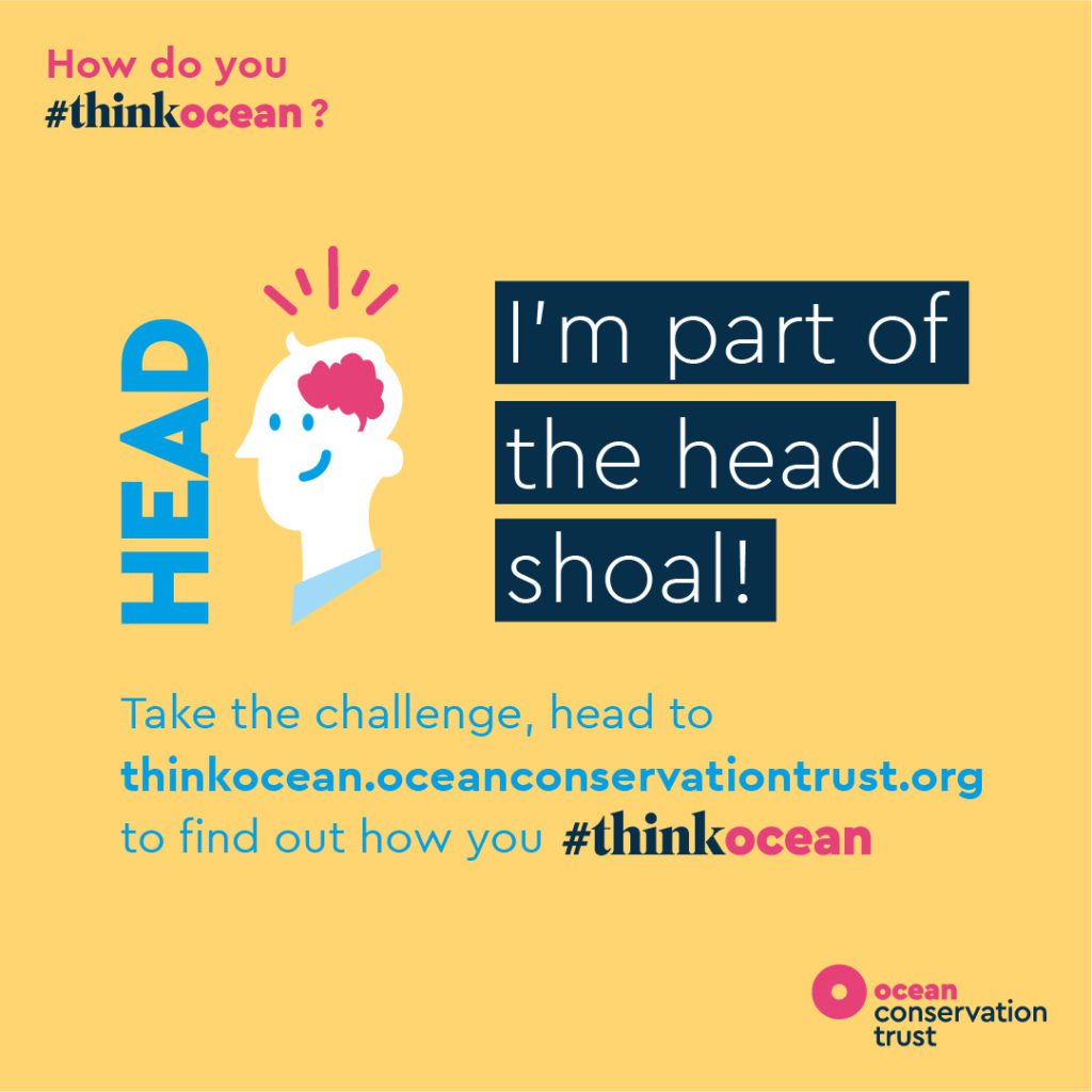 Ocean Conservation Trust launches #ThinkOcean Challenge 1 Ocean Conservation Trust 1