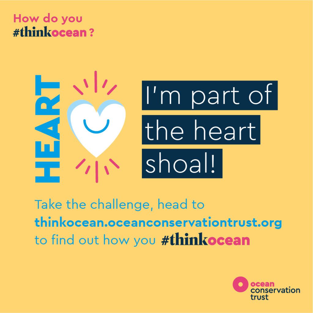 Ocean Conservation Trust launches #ThinkOcean Challenge 2 Ocean Conservation Trust 2