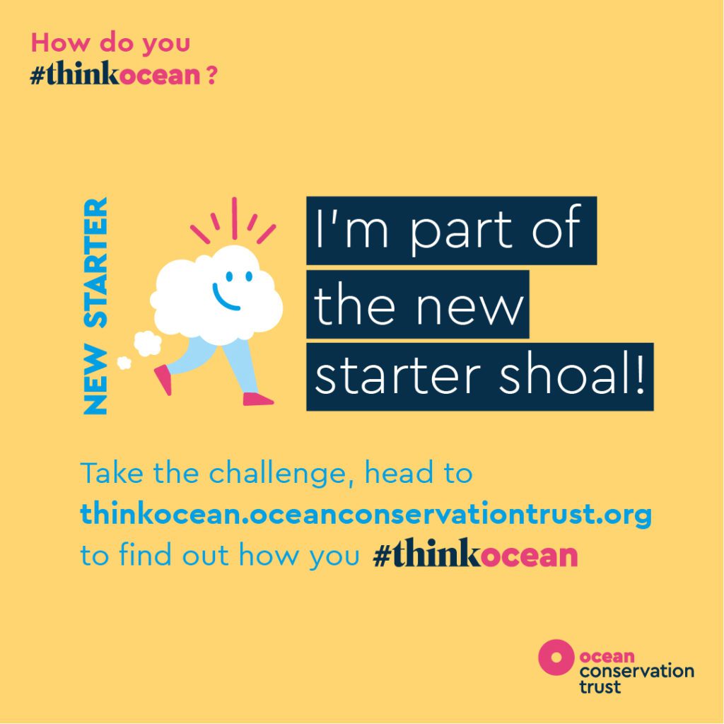 Ocean Conservation Trust launches #ThinkOcean Challenge 4 Ocean Conservation Trust 4