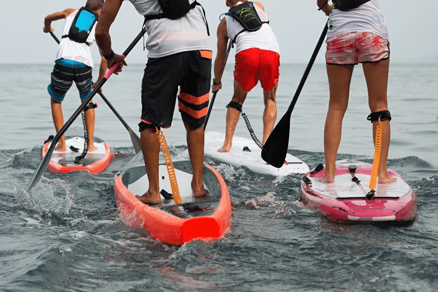 Go Diving Show Paddle Board