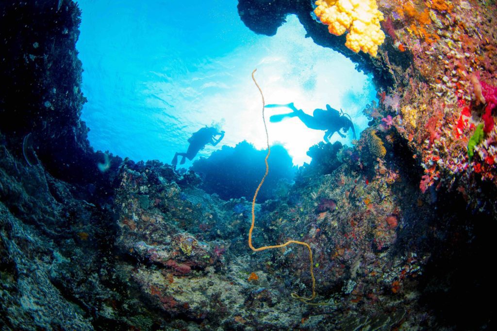 Thrilling Currents of Raja Ampat