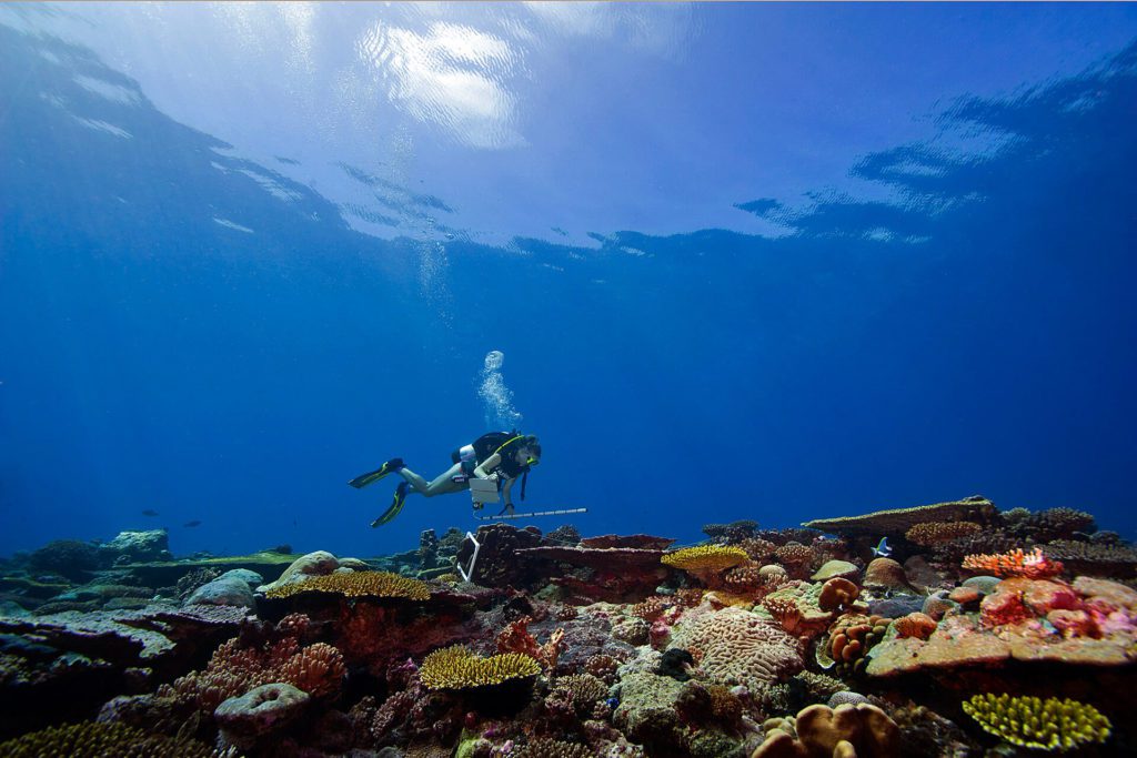 Largest Coral Reef Survey in History