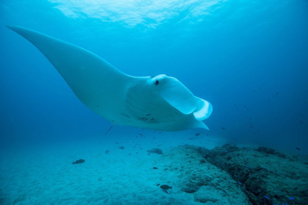 Explore Breathtaking Ningaloo Reef