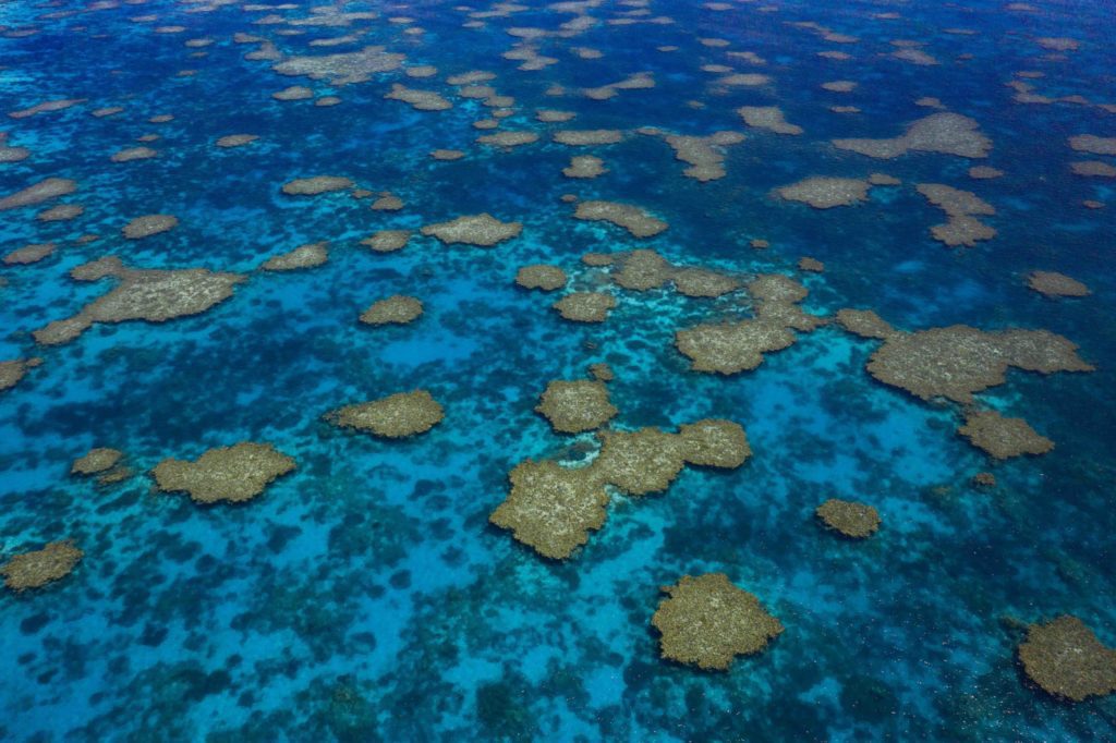 Remote Rowley Shoals a Divers Paradise 6 Credit: Scott Portelli. Arial View of The Bat Cave