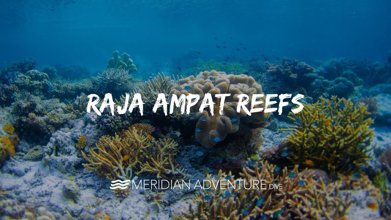 Stunning Raja Ampat Reefs