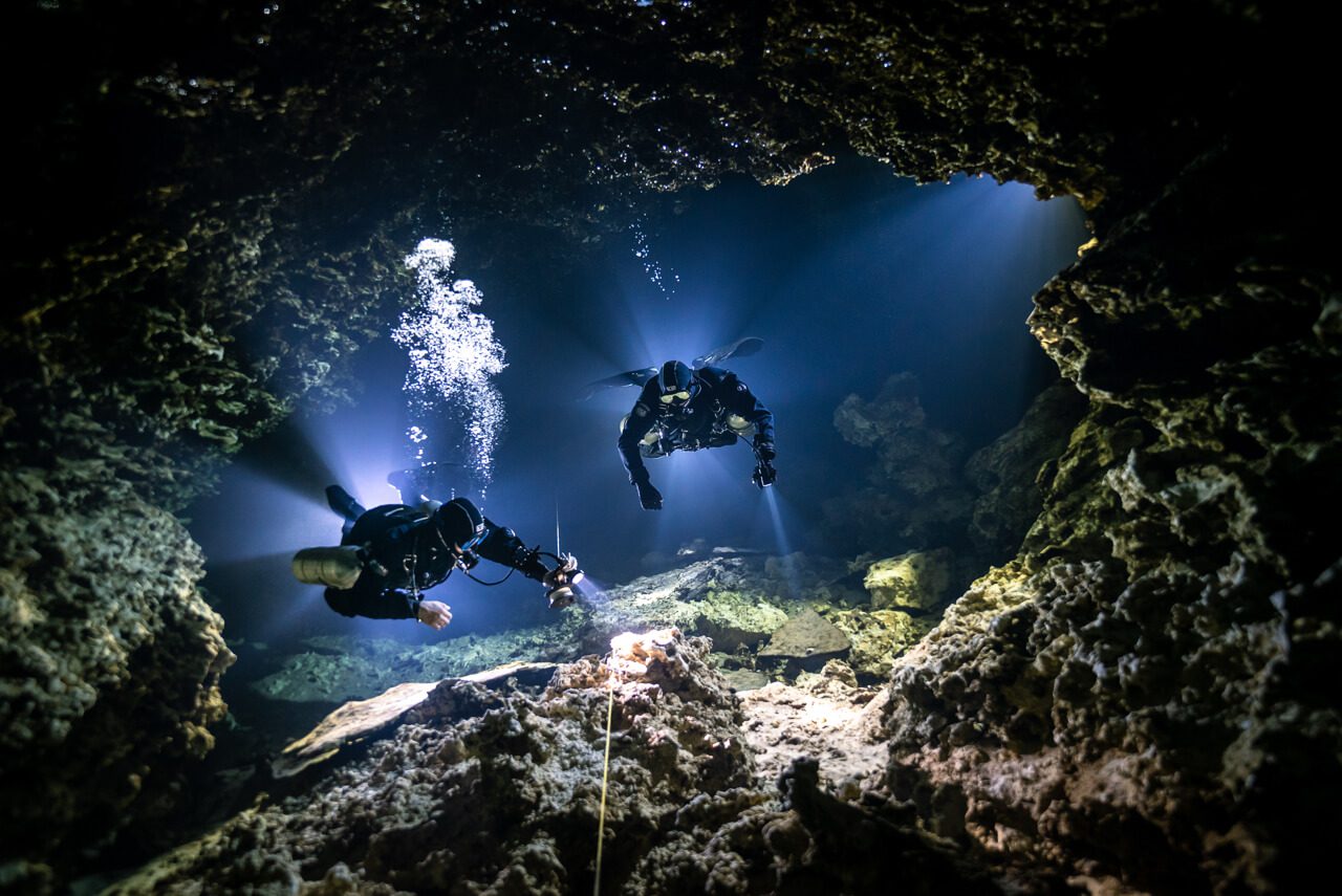 Underwater Photographer of the Year 2021 1