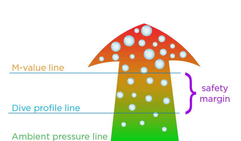 The evolution of dive planning with Shearwater Research 9 Shearwater 9