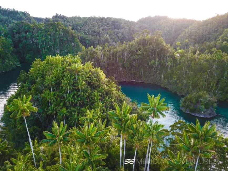 Raja Ampat Birds of Paradise