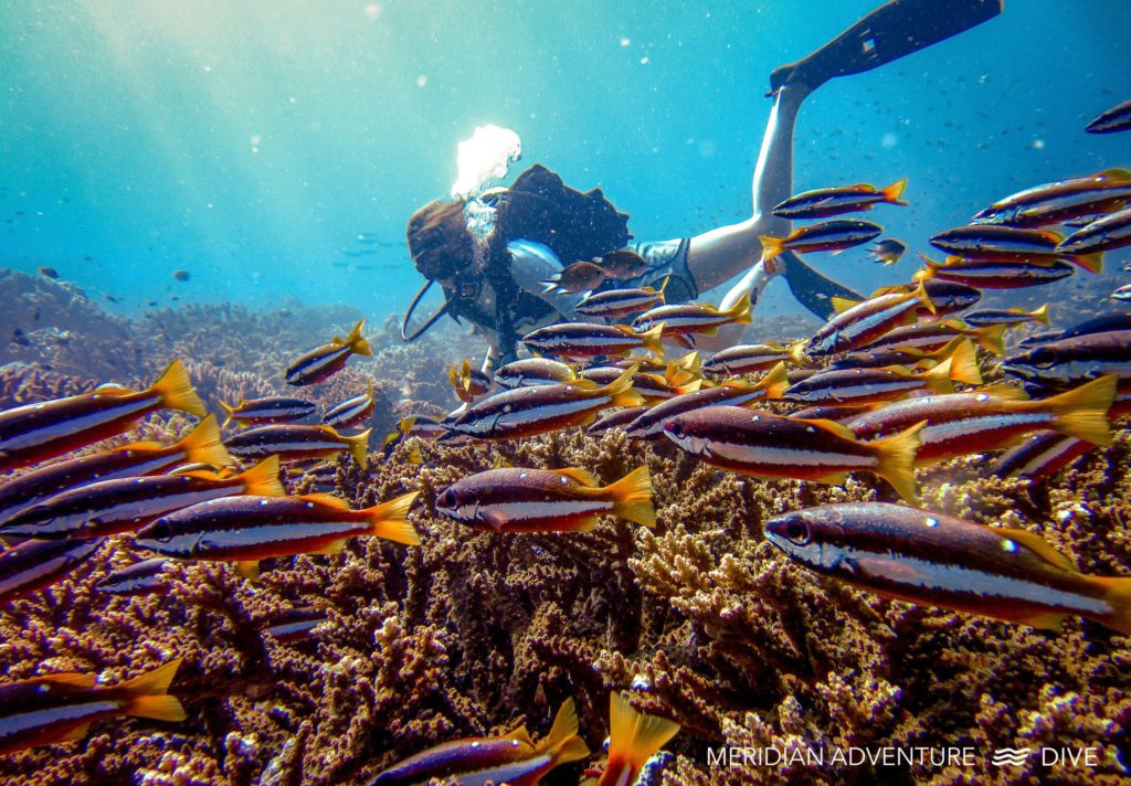 Raja Ampat in the Off Season Part 1