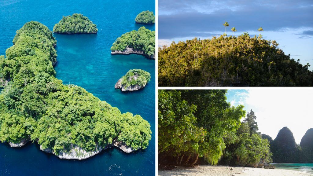 8 Essential Items to Pack for Raja Ampat 5 8 Essential Items to Pack for Raja Ampat
