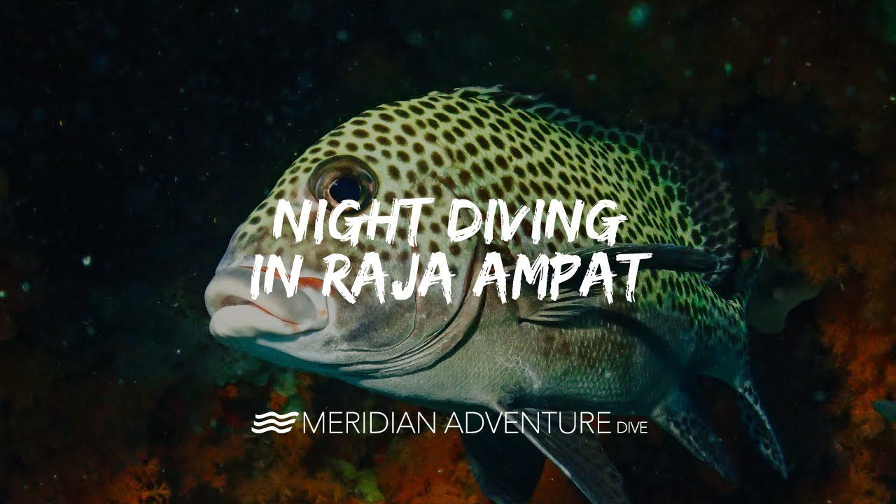 Exhilarating Meridian Adventure Night Diving