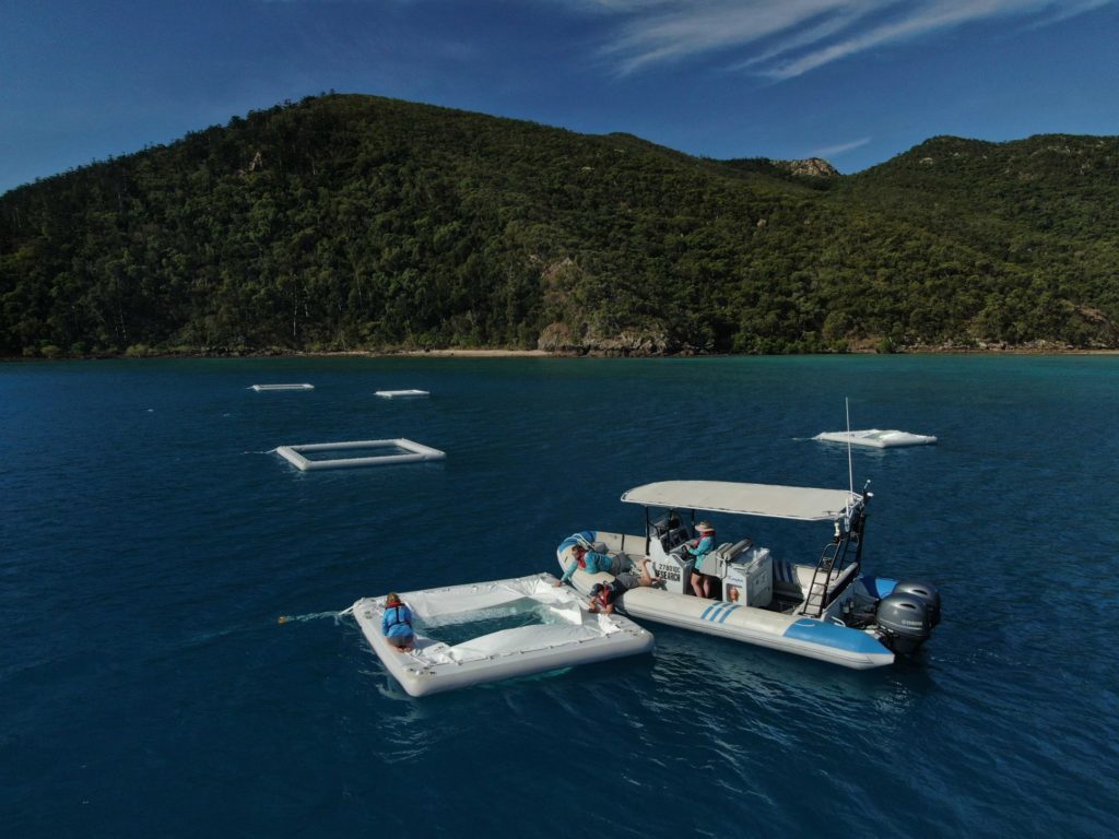 Tourism operators key to large-scale coral restoration 1 Tourism operators key to large-scale coral restoration