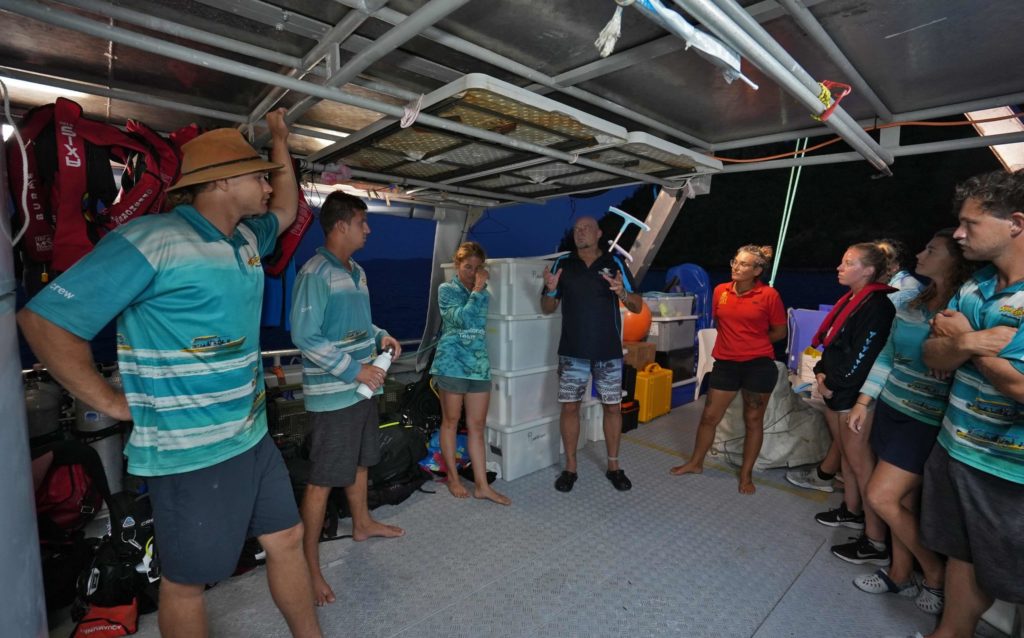 Tourism operators key to large-scale coral restoration