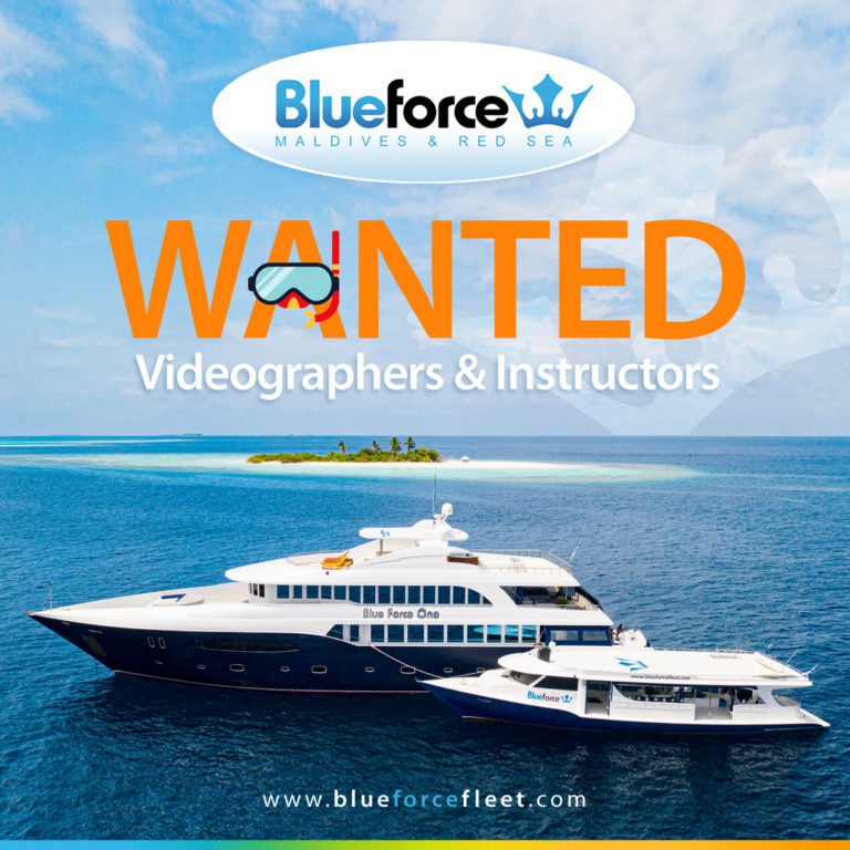 Blue Force Fleet Need Instructors and Videographers