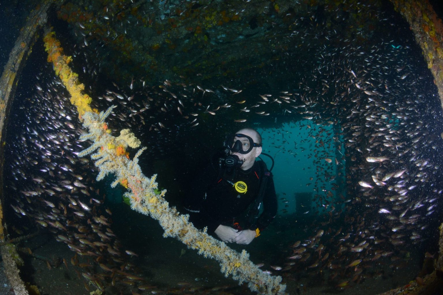 Diving the Wreck of the Ex HMAS Brisbane