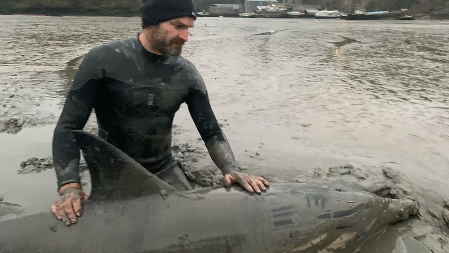 Monty Halls rescues stranded dolphin