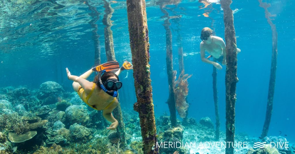 Raja Ampat Dive Sites Sauwandarek Jetty