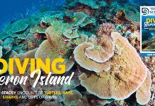 Scuba Diver ANZ Issue 44 Out Now