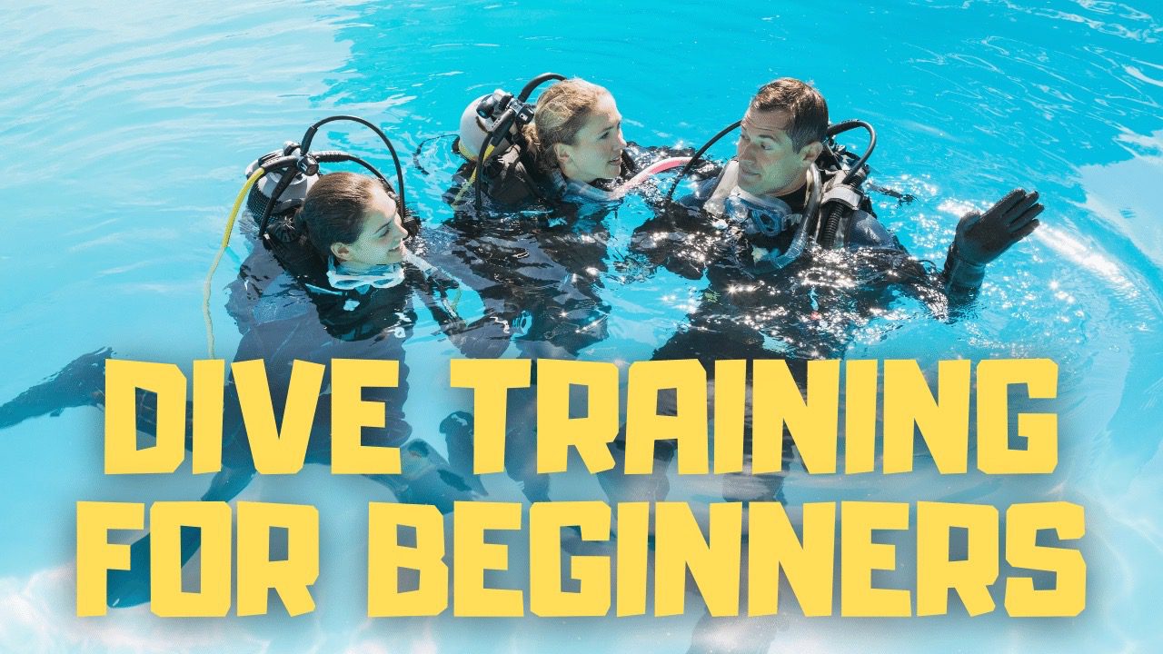 dive training