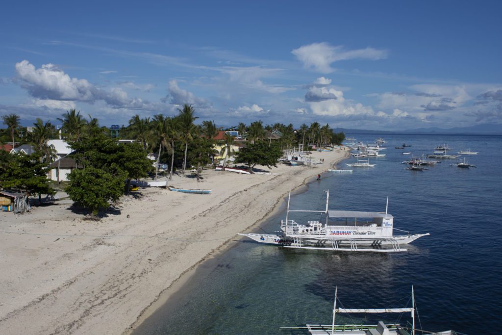 Finding threshers in the Philippines 2 Philippines