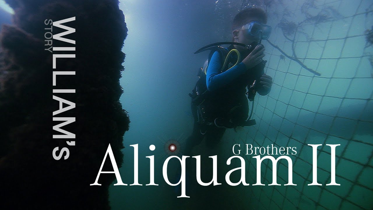 Aliquam Life Begins in the Ocean Episode 6