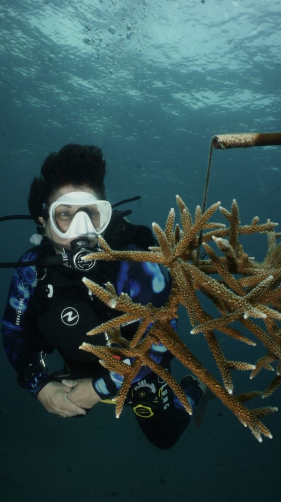 Penney seeing the progress of staghorn coral fragments