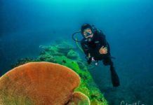 Diving the Japanese Cargo ship of Sabah