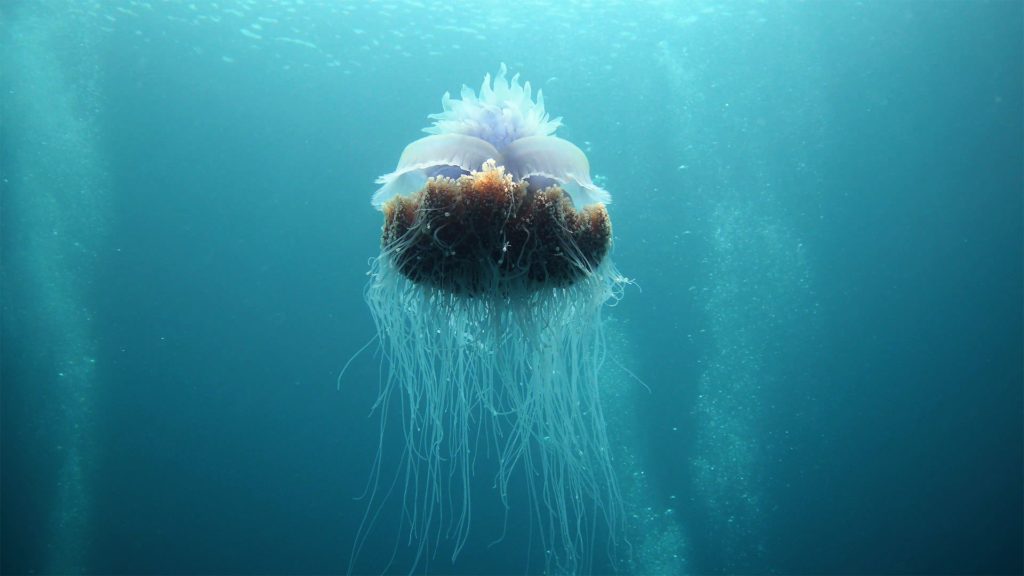 10 top tips for action camera users 15 Get used to the focal distance of the Paralenz