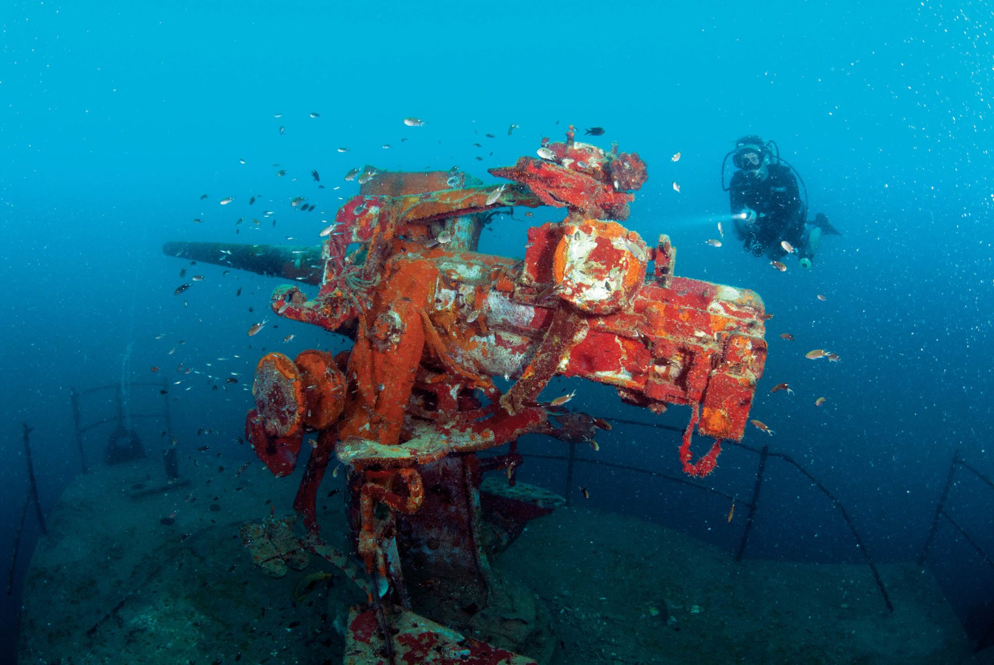 Best Places For Scuba Diving In Koh Samui