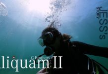 Aliquam Life Begins in the Ocean Episode 8