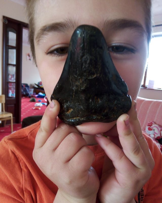 Boy finds megalodon tooth in Suffolk 1 Sammy with the monster tooth of a megalodon