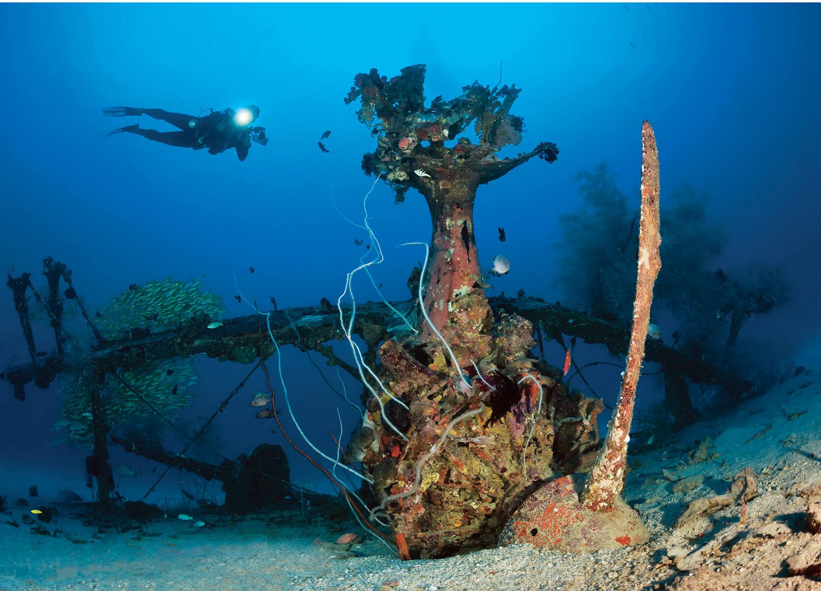 Deep Wreck - Scuba Diving In Papua New Guinea